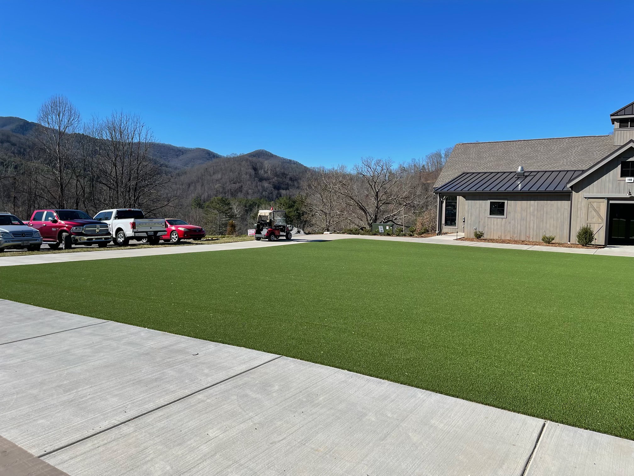 Artificial Synthetic Turf in Charlotte