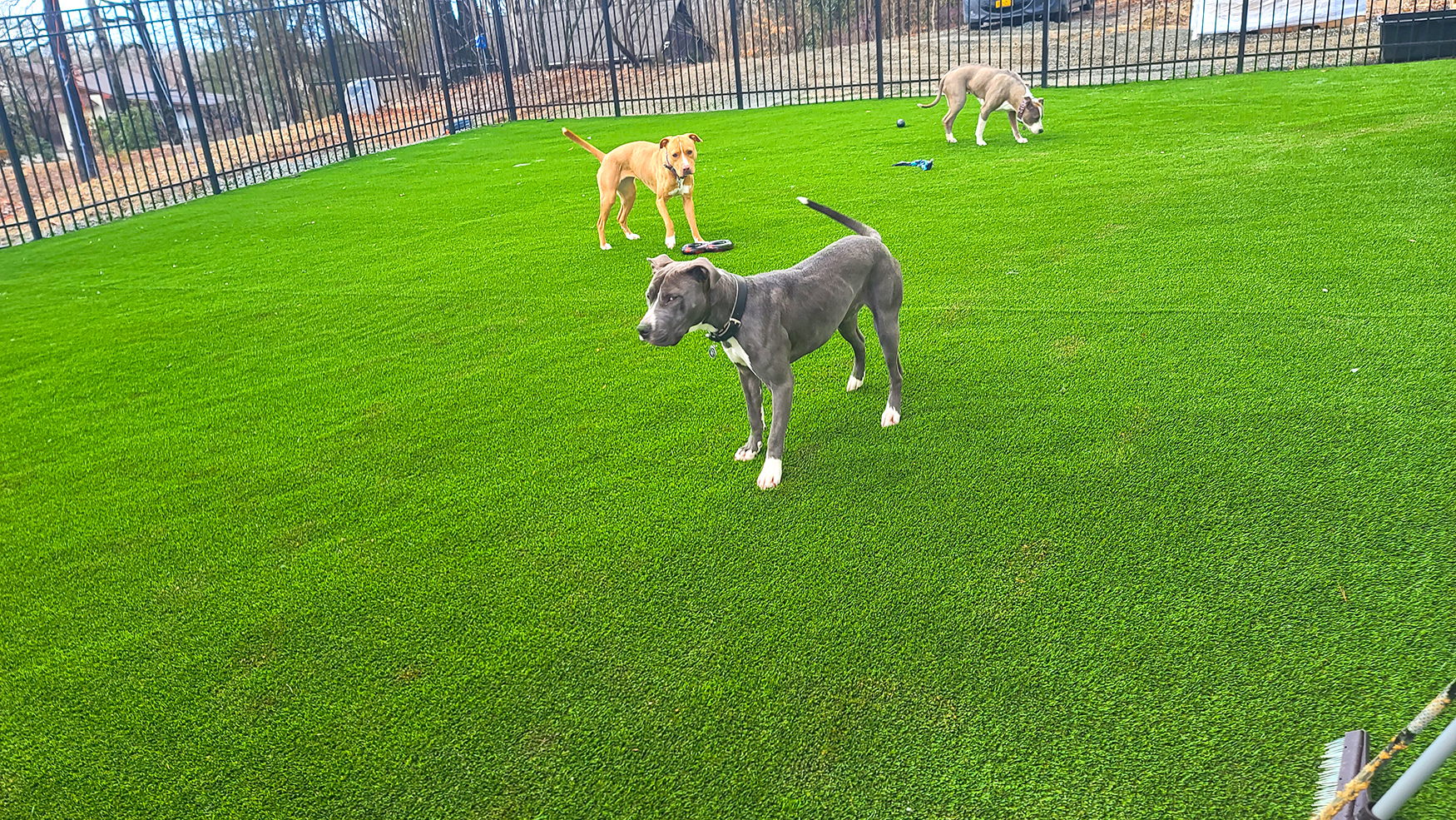 Advanced drainage system beneath artificial turf for dogs, ensuring efficient water flow and odor control for a clean outdoor space.