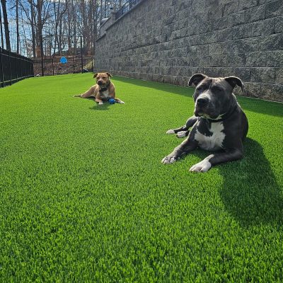 synthetic-turf-concepts--pet-turf-1